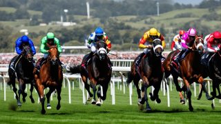 Fitur Mobile di Agen Judi  Balapan Kuda Online