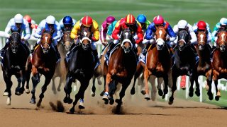 Panduan Judi Balapan Kuda Internasional Terlengkap