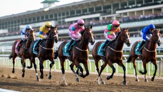 Prediksi Pacuan Kuda Terpercaya 2025: Analisis dan Tips Terbaik untuk Taruhan